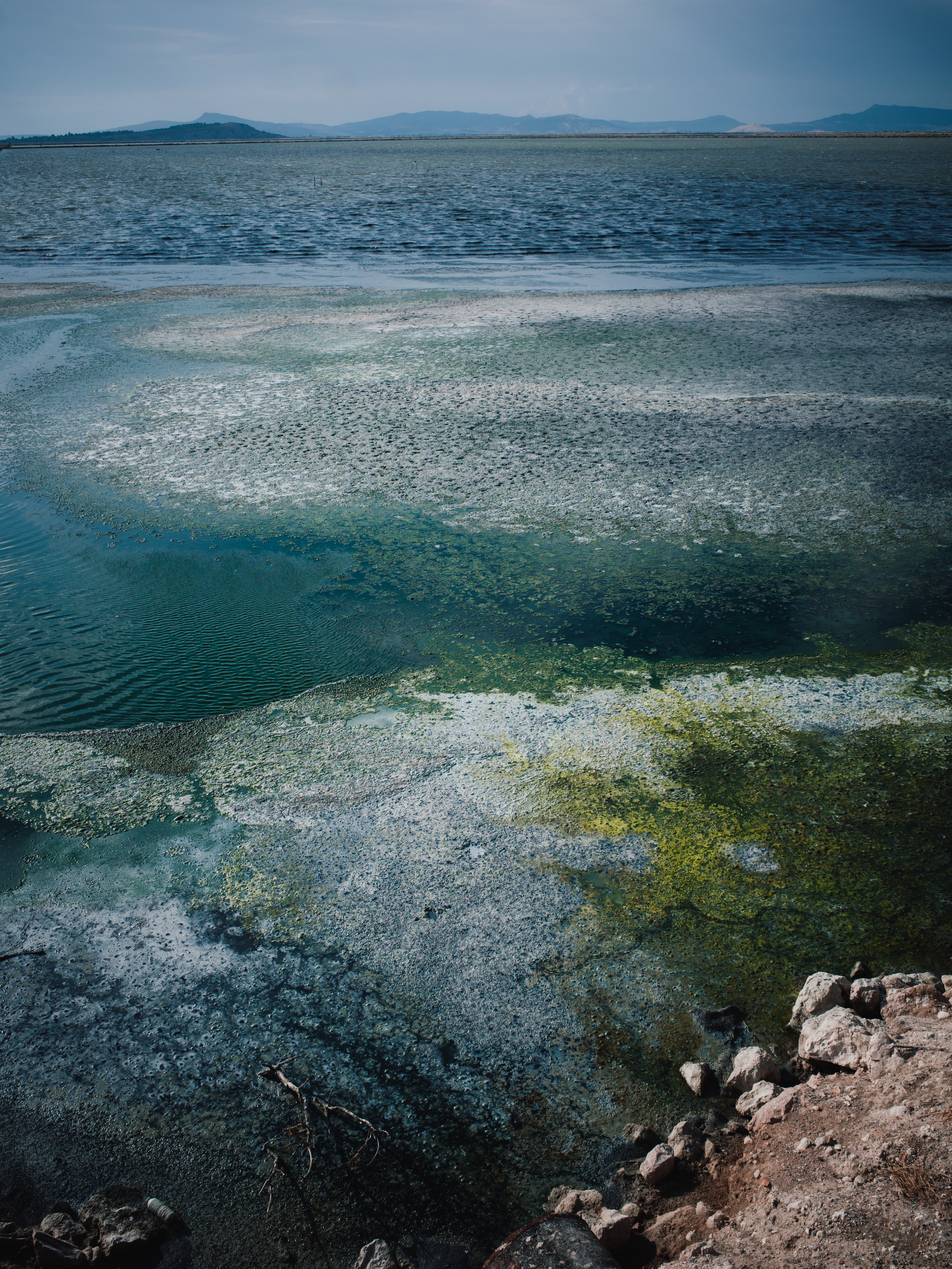 Homa Lagoon: In the wetland, water is always multiple. Photo by Benjamin Siegel