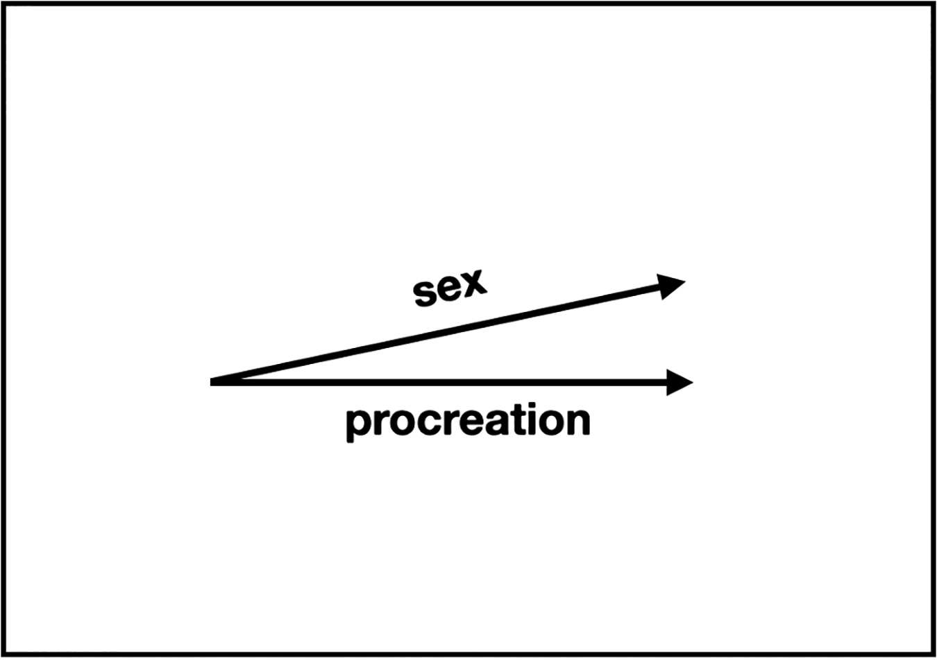 Sex and procreation represented as correlated vectors. Figure redrawn by author from presentation by David Huron (2011).