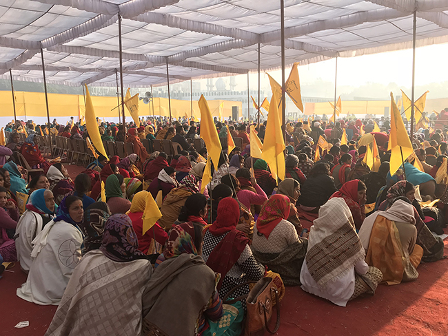The crowd at a cow-protection rally called by the guru Kanha’s organization. Photos by Radhika Govindrajan.