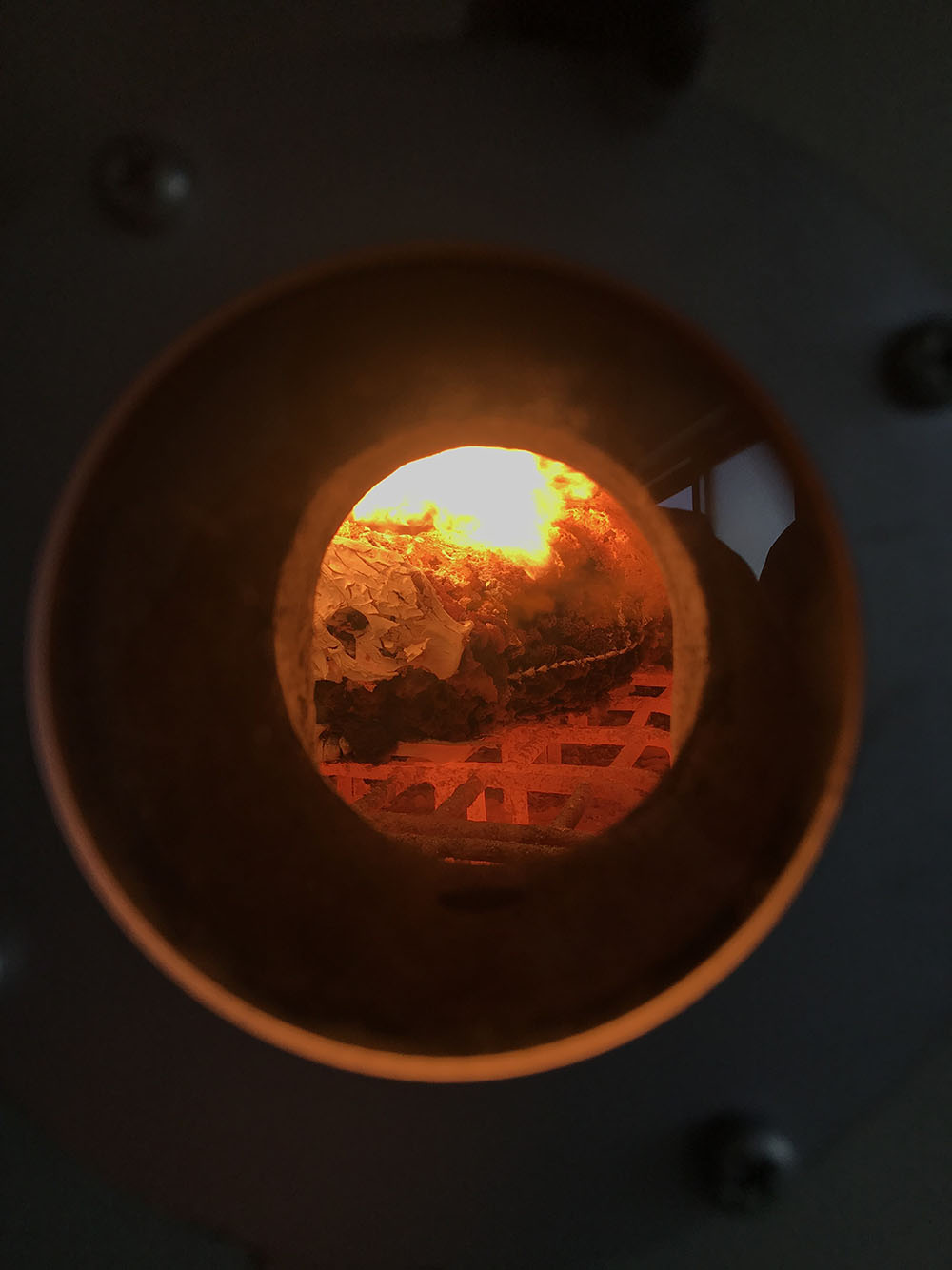 Disintegrating boar inside the Incinerator in Sōma city. Photo by Ryo Morimoto.