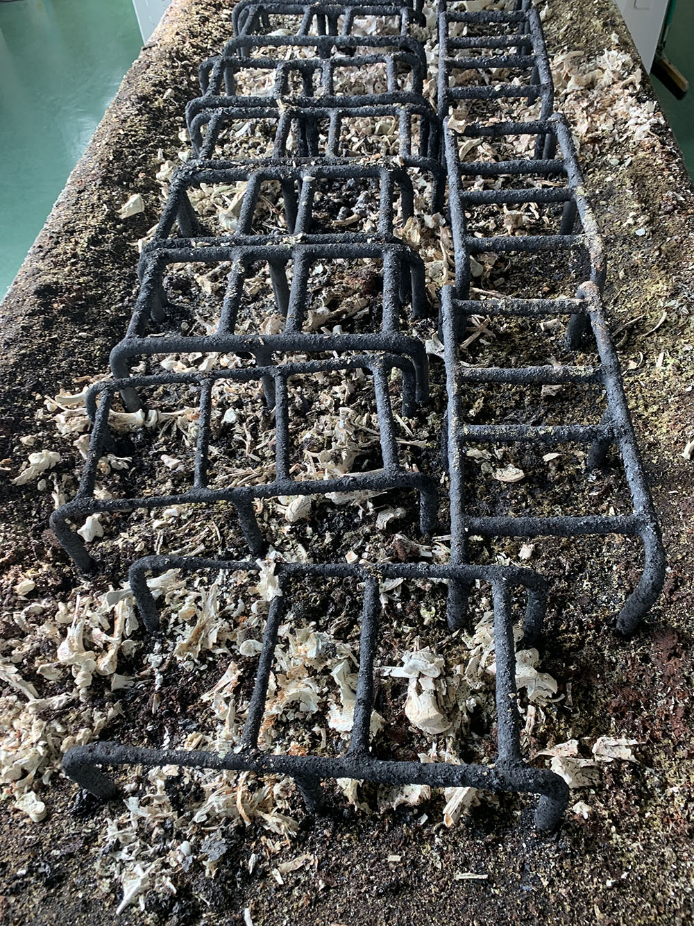 Boars’ (radioactive) remains after incineration in Sōma city. Photo by Ryo Morimoto.