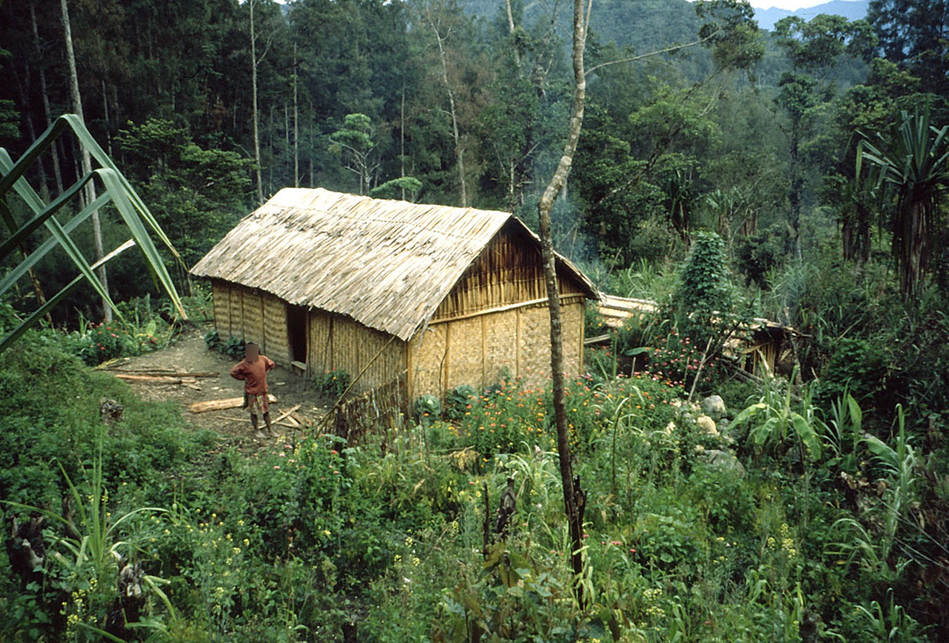 A homestead in the Porgera Valley. Photo by Jerry K. Jacka.