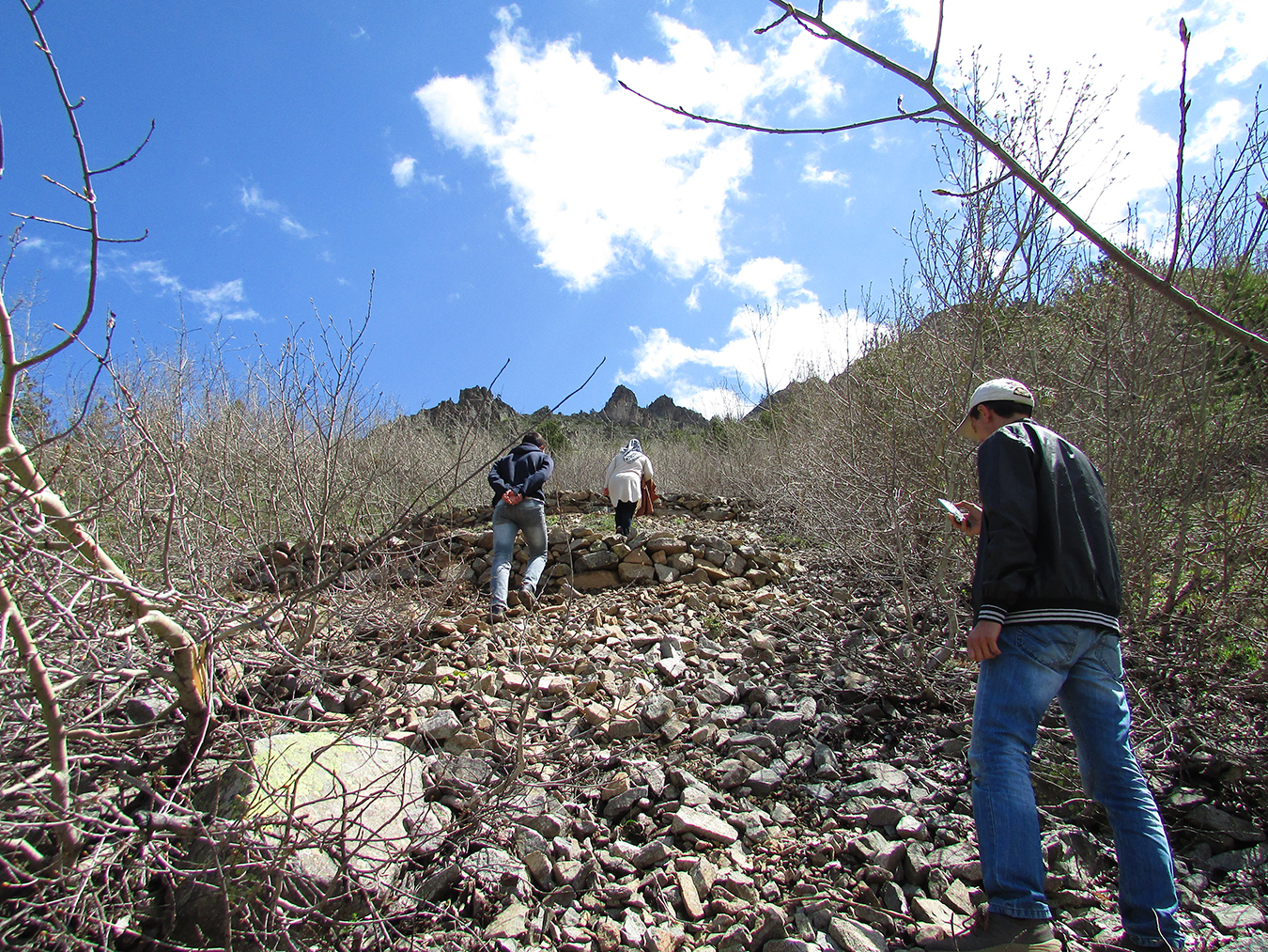 Climbing up with foresters to monitor the erosion control walls and the overgrown lands across the hill with quaking aspens. Photos by Ekin Kurtiç.