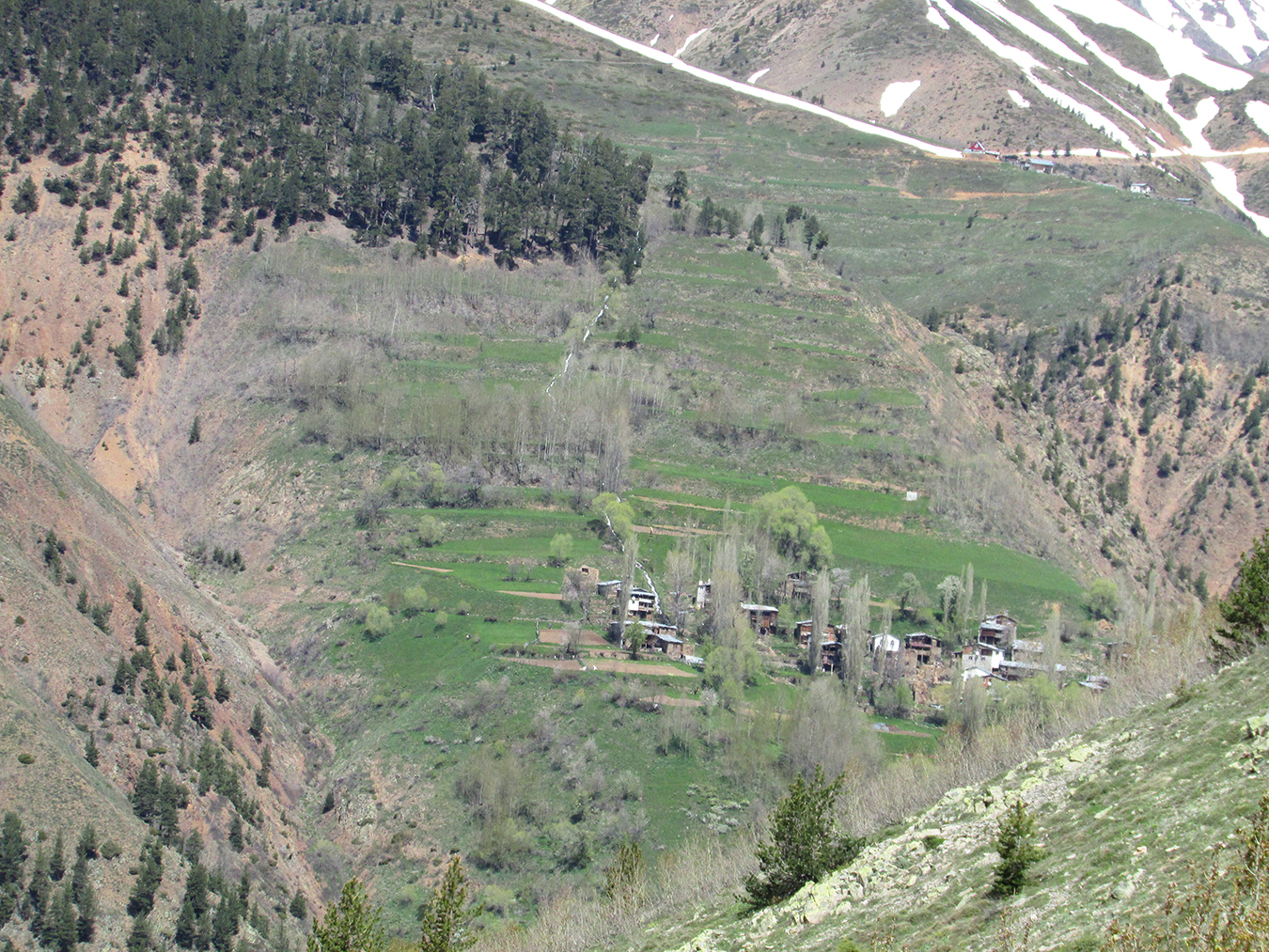 Climbing up with foresters to monitor the erosion control walls and the overgrown lands across the hill with quaking aspens. Photos by Ekin Kurtiç.