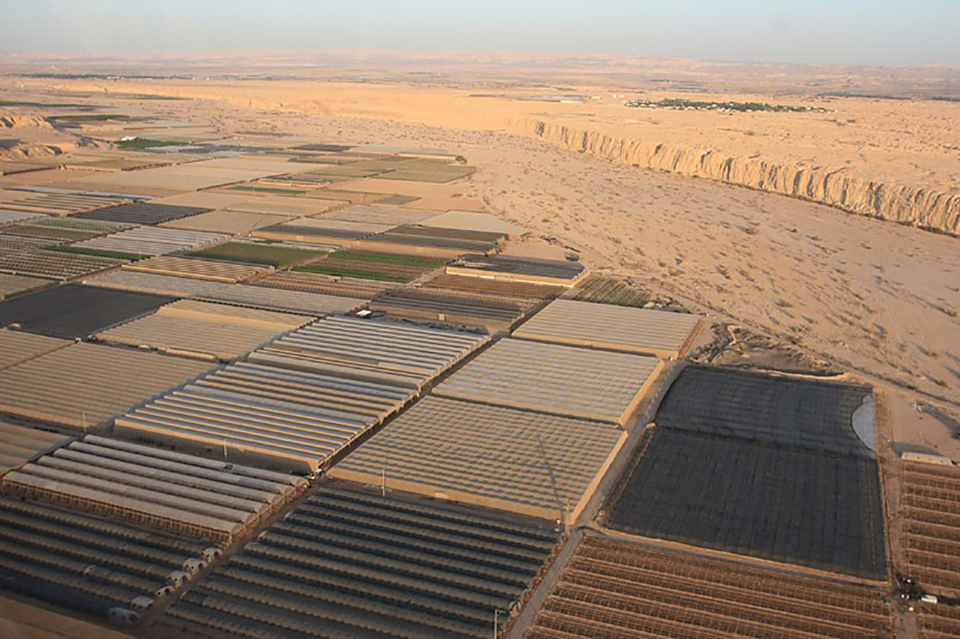 Agricultural areas on the banks of Wadi Arava, the border with Jordan. Photo by Noam Ofran.