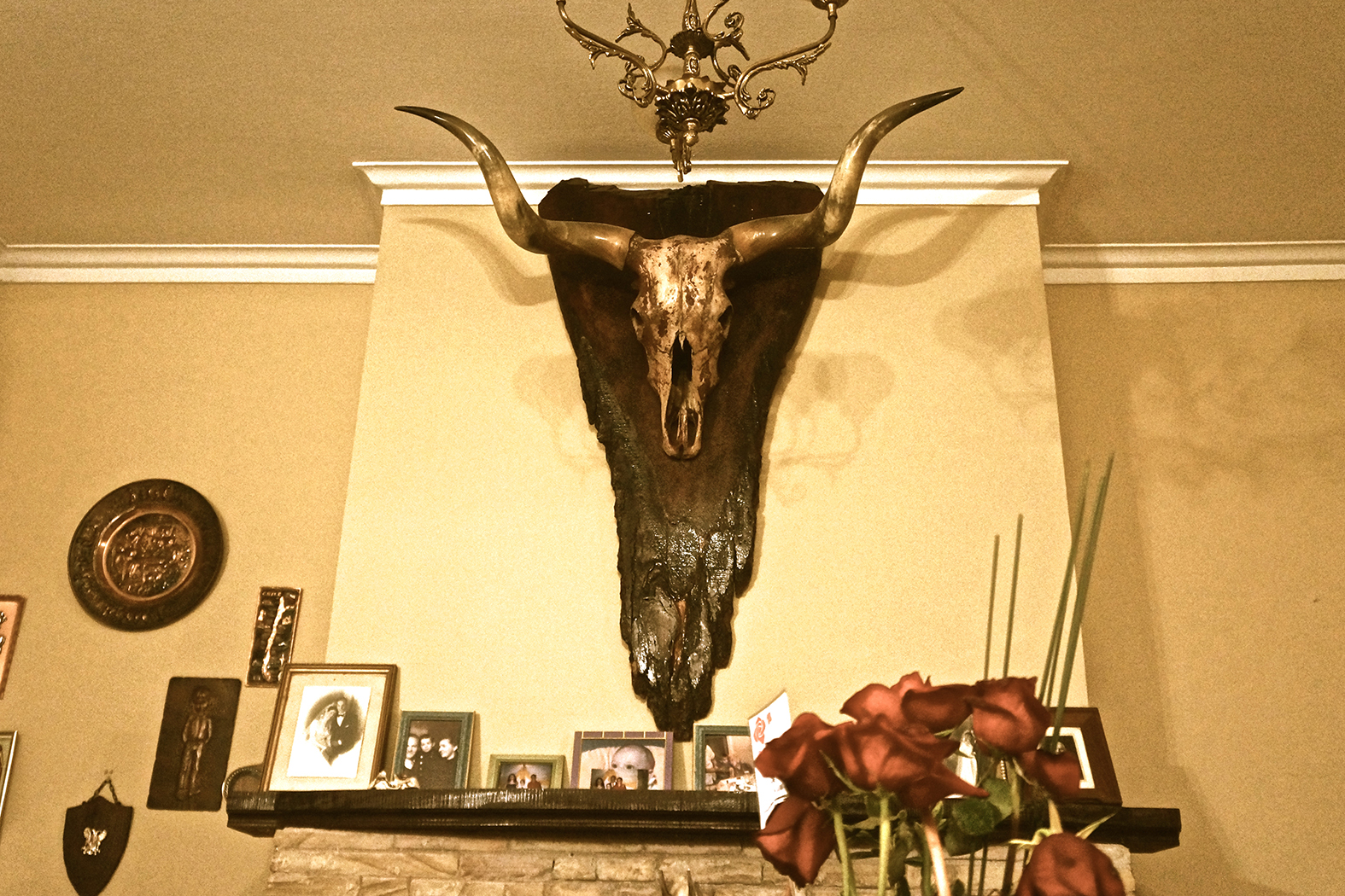 Cuello’s skull in Don Maas’s living room. Picture by the author, 2016.
