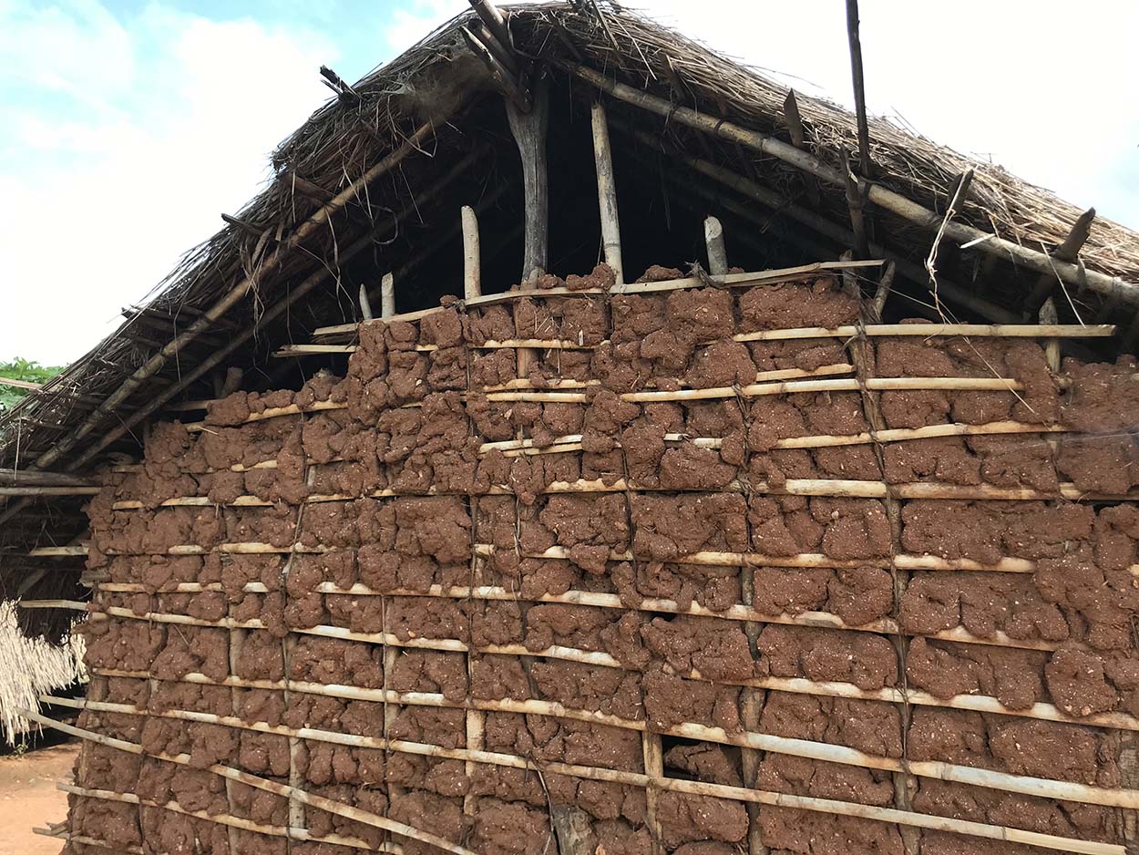 Rural house near Mafinigi, south of Ifakara, January 2020. Photo by Ann H. Kelly and Javier Lezaun.