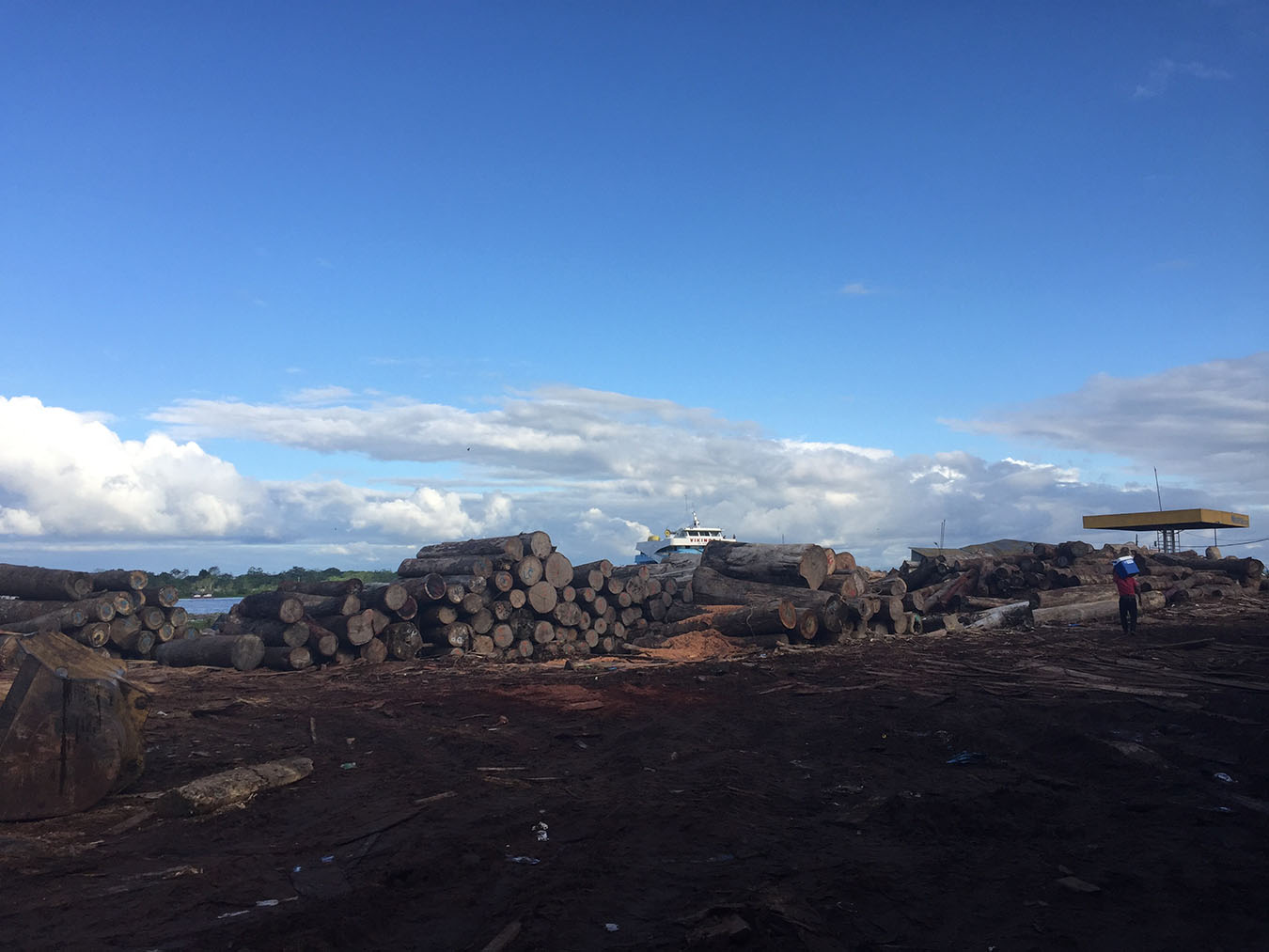 Piles of logs near the port of Masusa. Photo by Eduardo Romero Dianderas.