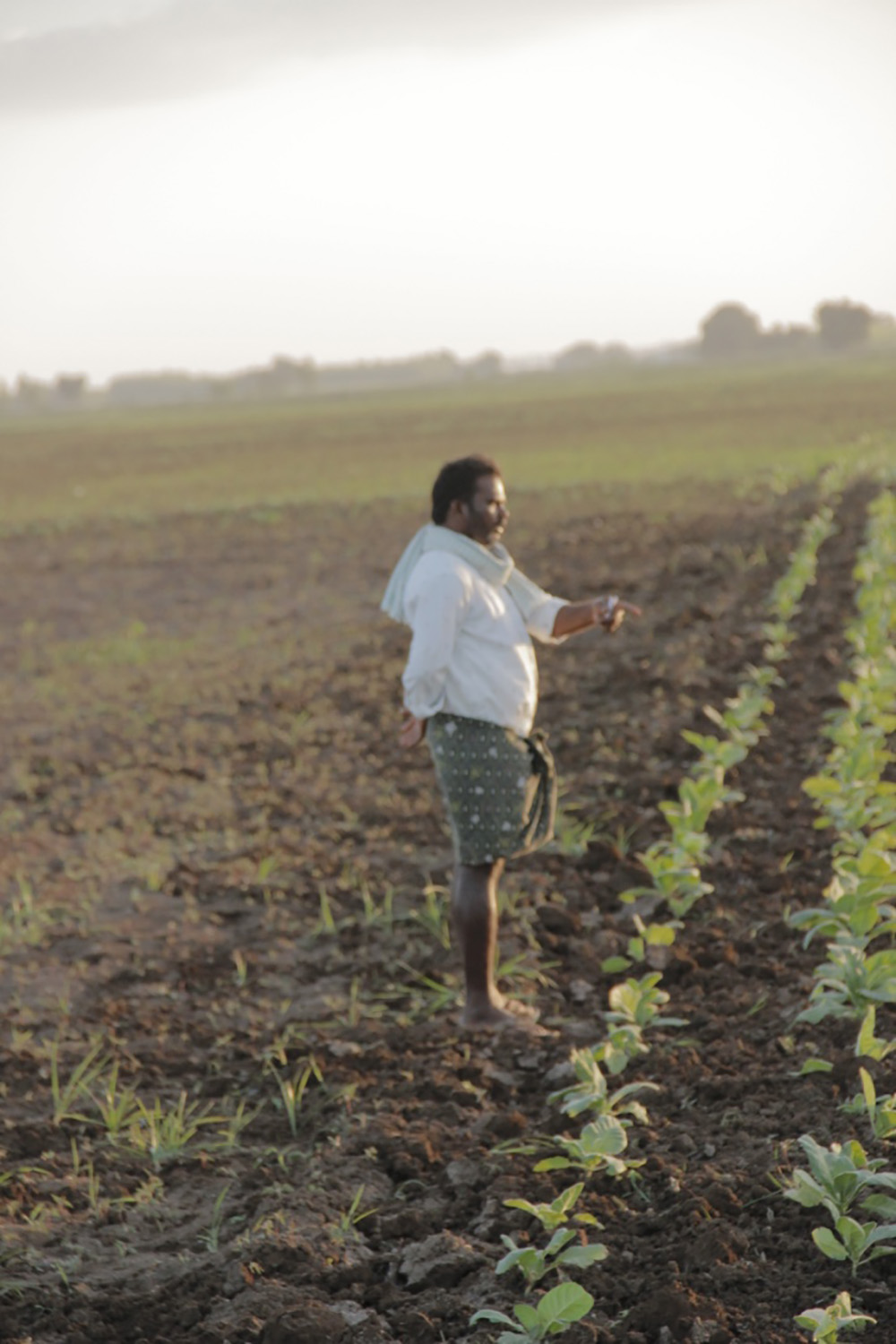 Maistree Garu monitoring the work of the muttah (labor gang) on the tobacco farm. Photo by Amrita Kurian, Andhra Pradesh, 2016.