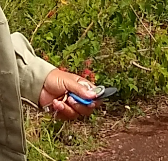 The image shows a bundle of keys clutched by a hand.