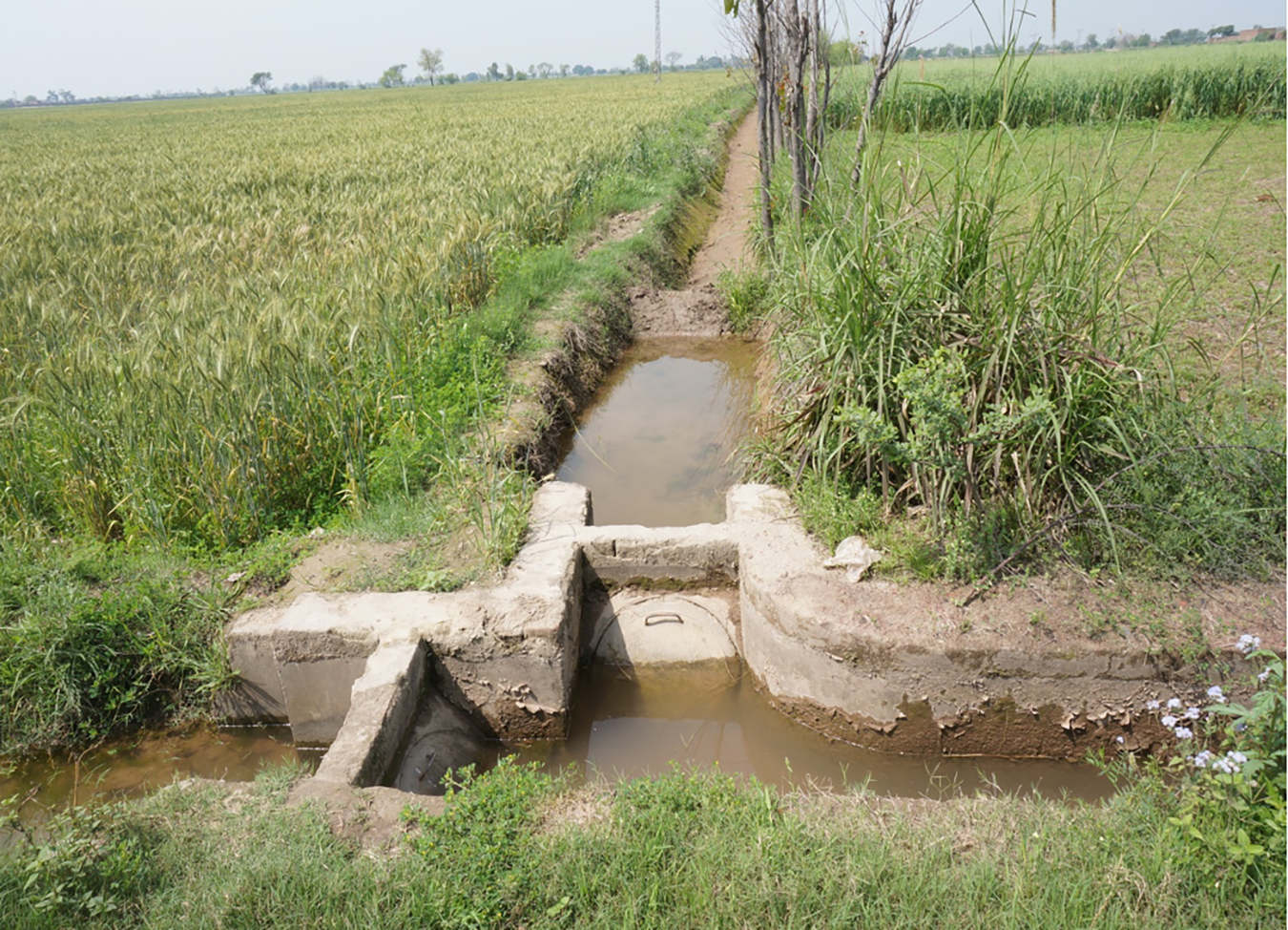 A khaal in rural Punjab.