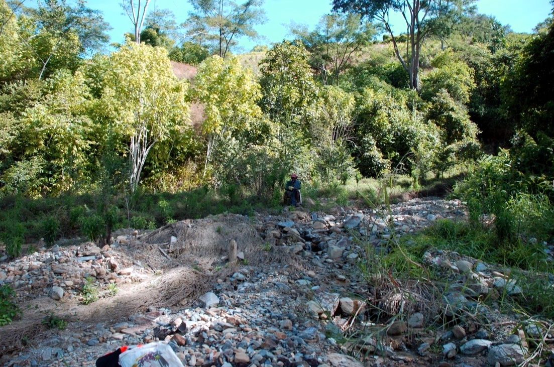 Image shows a washed-out coffee garden with a single man sitting in the shadows. Rocks and dirt fill the space where a stand of shade grown coffee once grew.