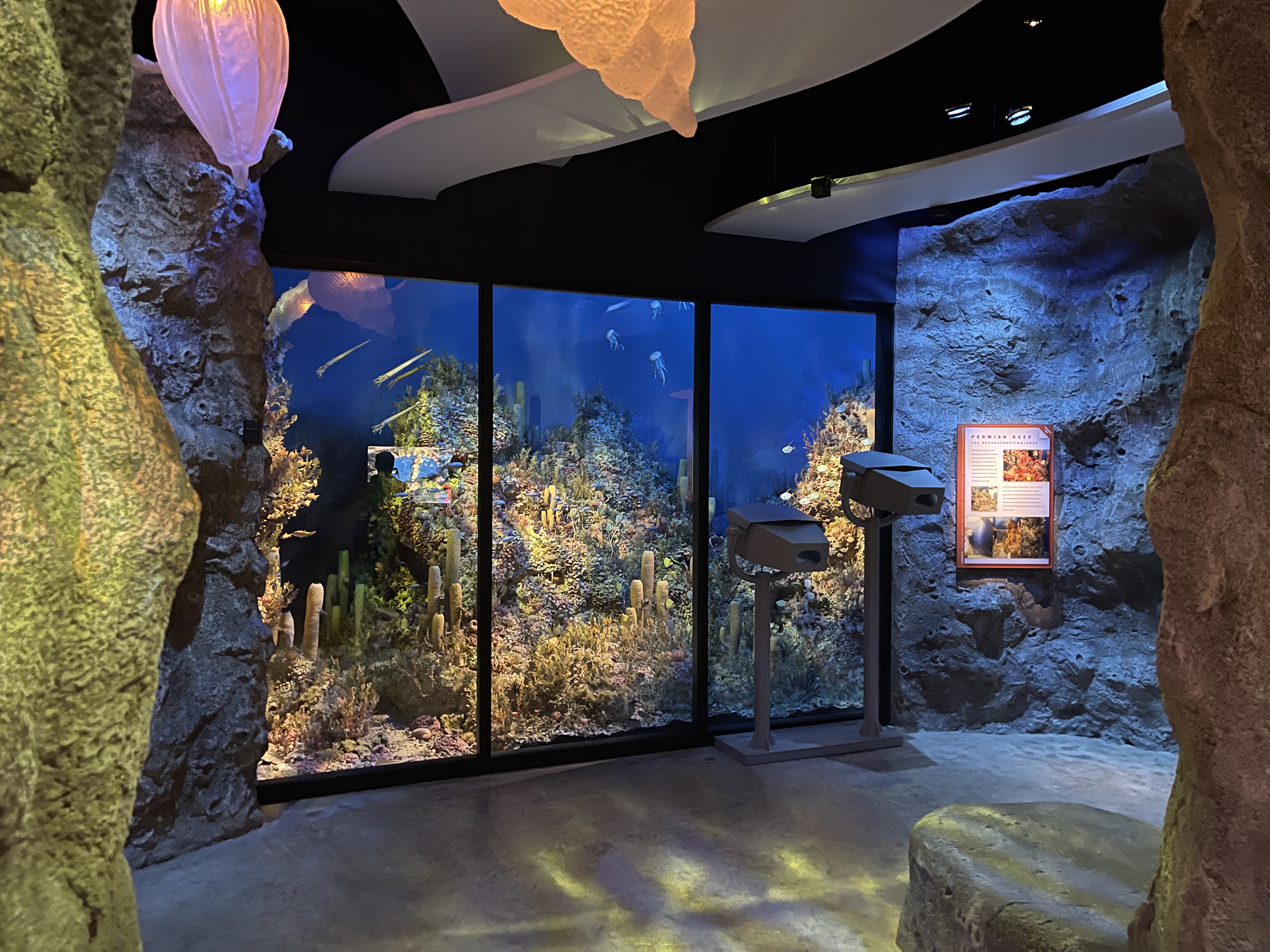 A floor-to-ceiling diorama of a coral reef.