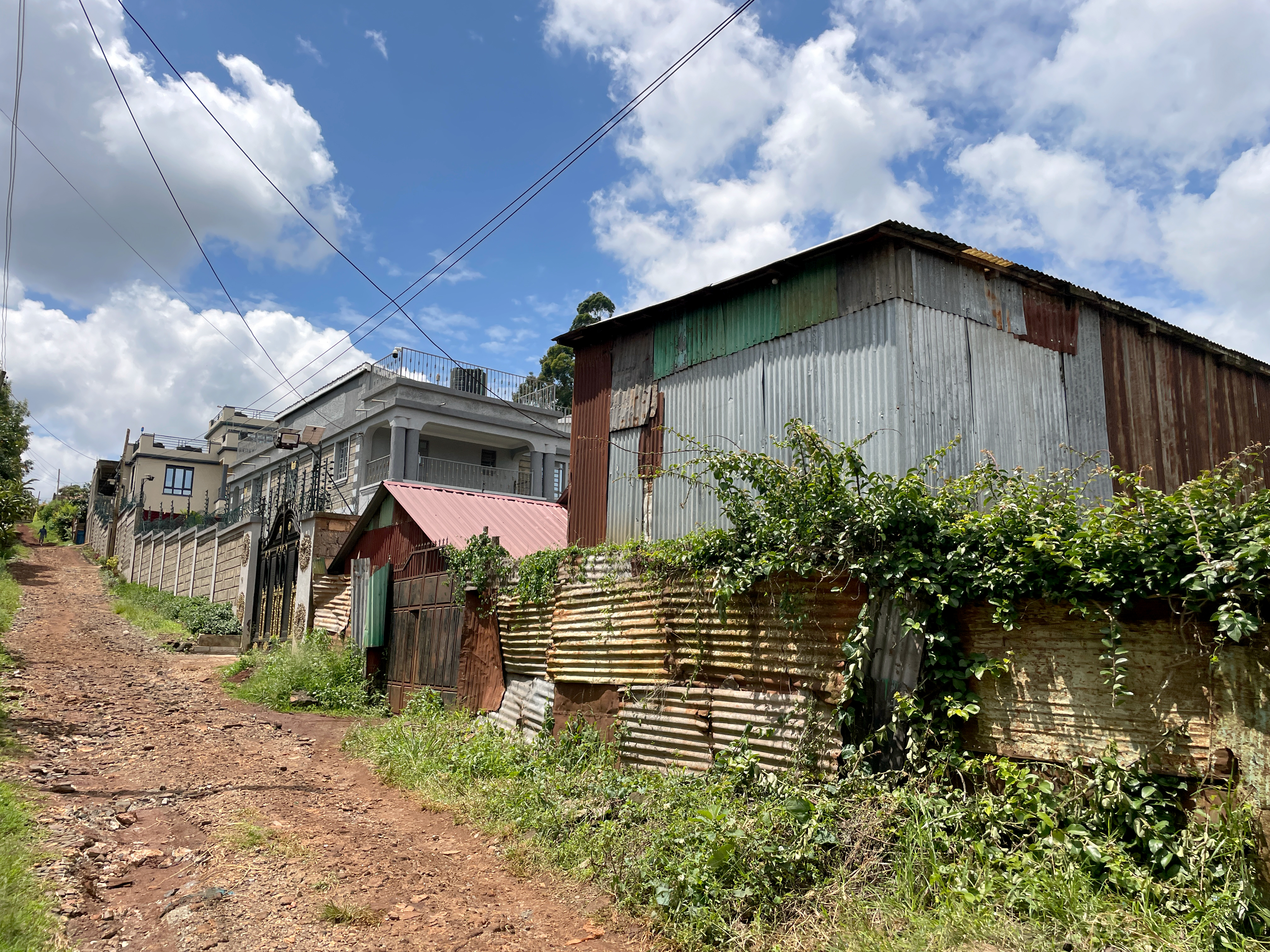 A large house built from stones, built by a Nairobi businessman on the sold land of a Kiambu man, looms behind the corrugated iron house of the latter, still living and rearing chickens next door.