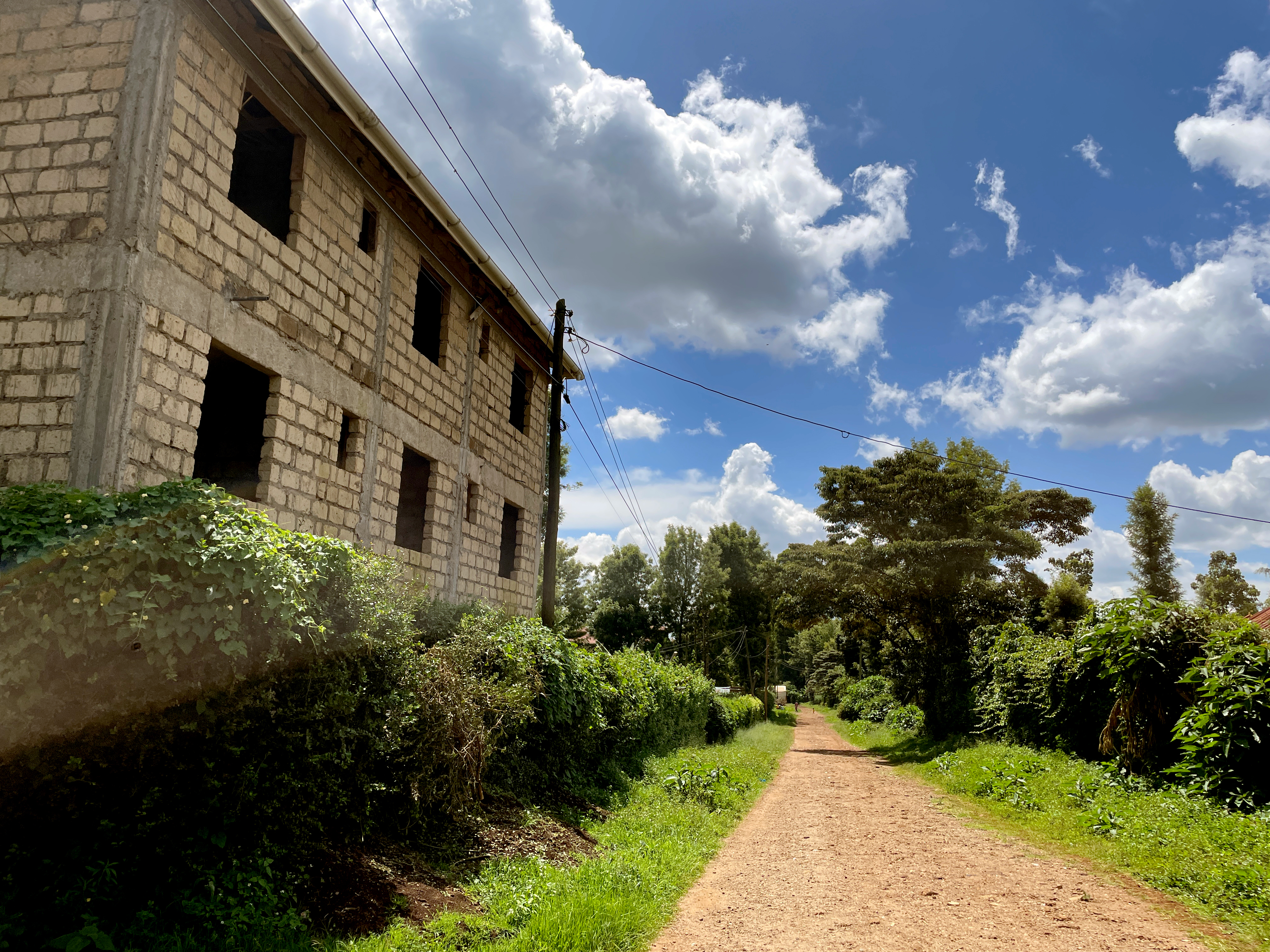On the left, an unfinished brick apartment building. In the middle, a dirt road through hedges.