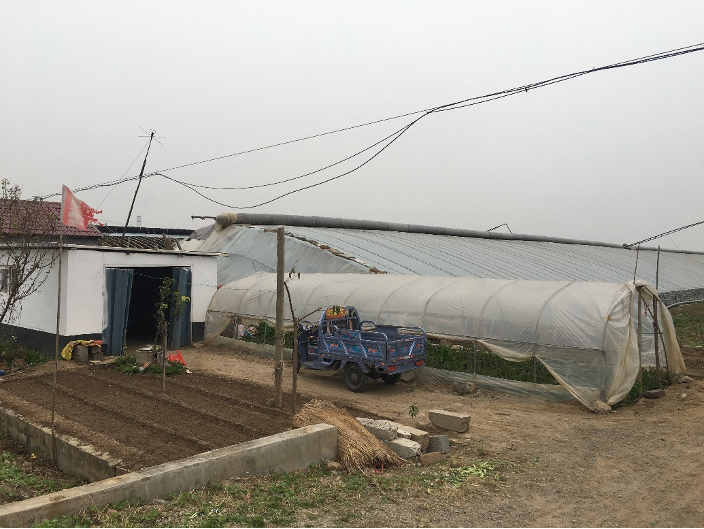 The simple dwelling to the left of the greenhouse serves as the farmers’ living quarters. For convenience, most farmers choose to live on-site rather than in their homes in the main village.