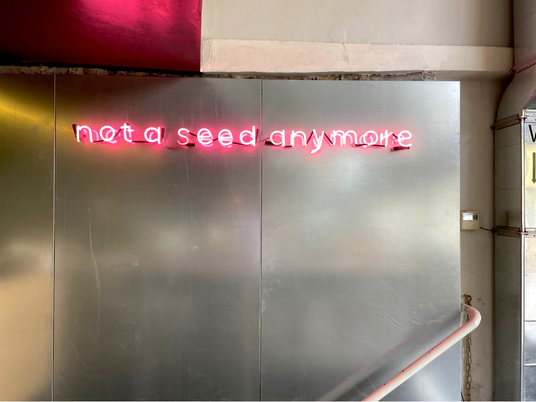 Inspirational Neon quote reading “not a seed anymore” on the wall of a café in Athens.